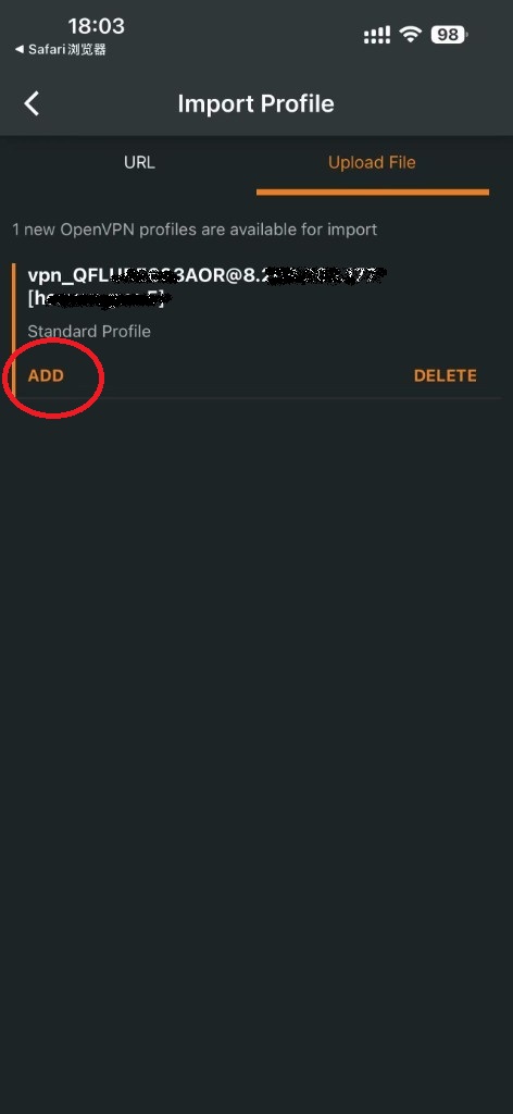 OpenVPN Import Profile - 点击 ADD
